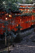 The tori gates behind the Fushimi Inari Shrine, Kyoto
