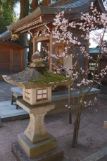 Sakurayama Hachimangu Shrine, Takayama, Japan